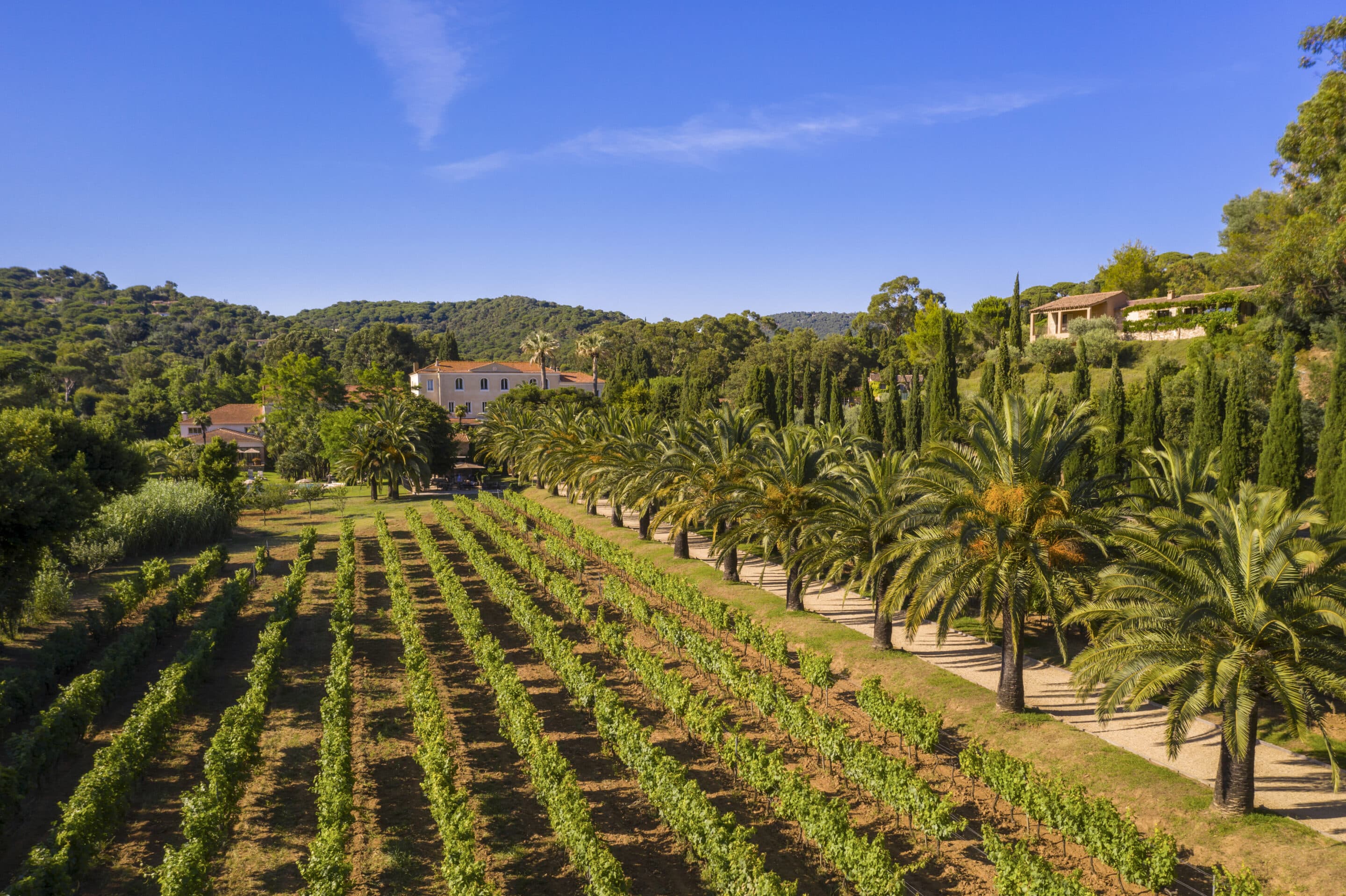 1 Vineyard et hôtel