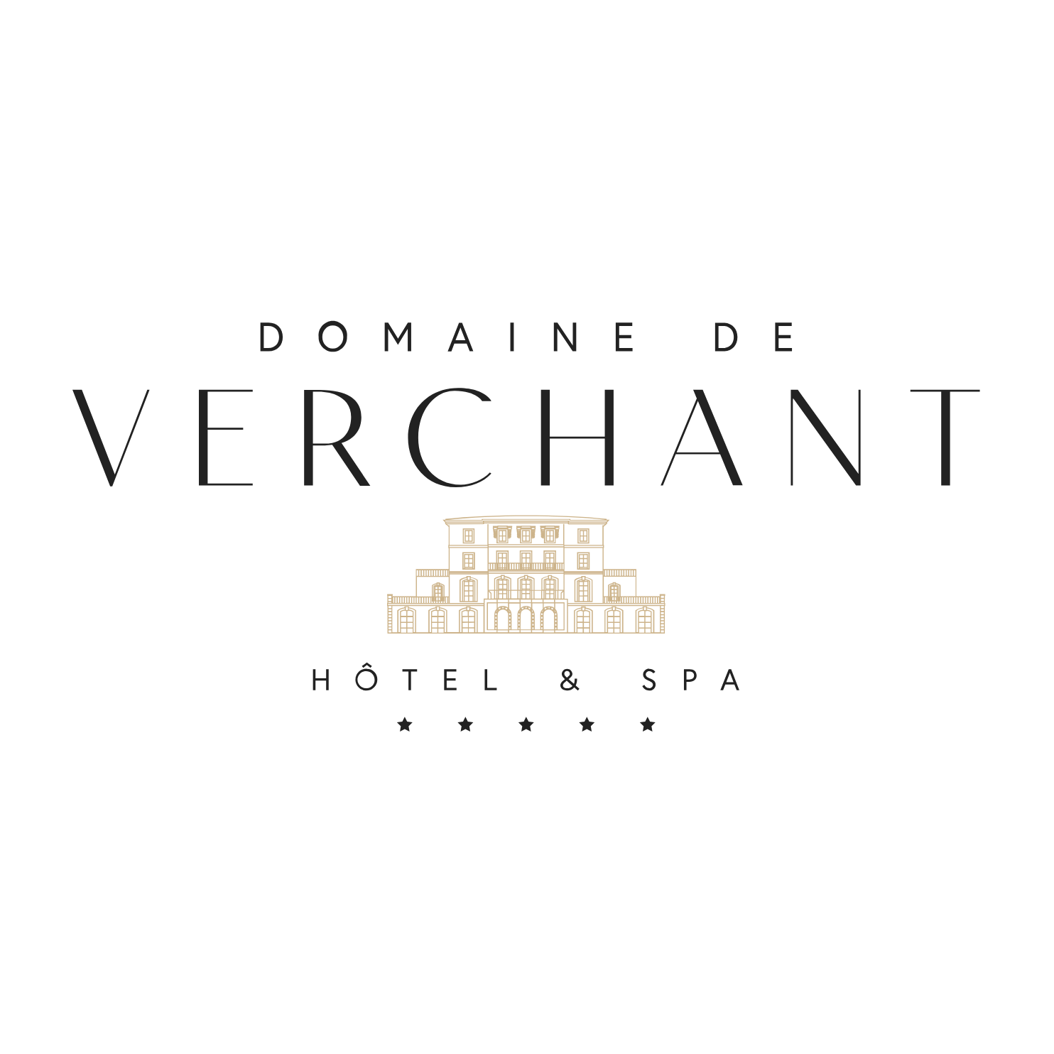 Logo Domaine de Verchant